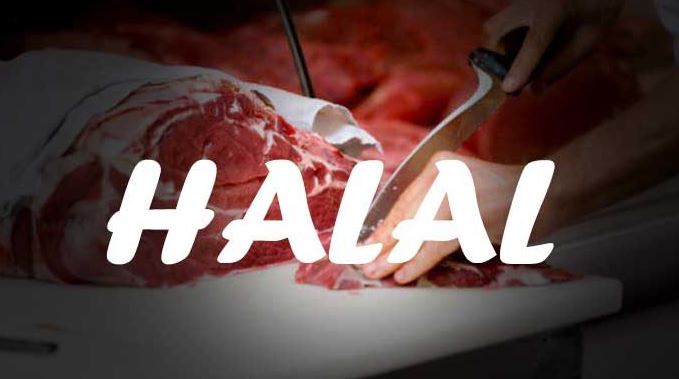 Halal, what is halal?